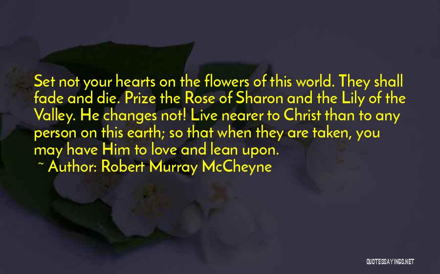 May You Love Quotes By Robert Murray McCheyne