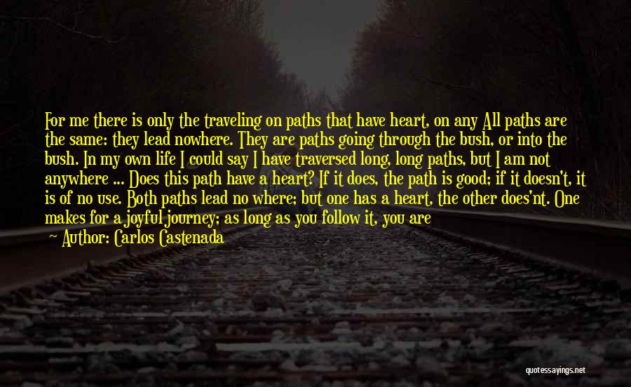 May Your Journey Quotes By Carlos Castenada