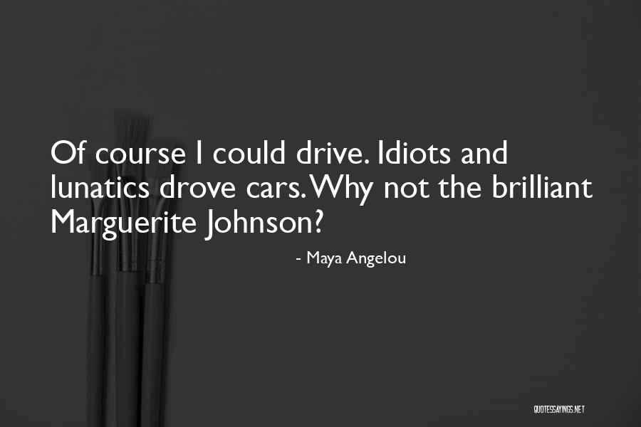 Maya Angelou Quotes 247228