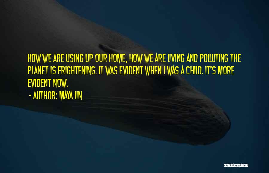 Maya Lin Quotes 1301240