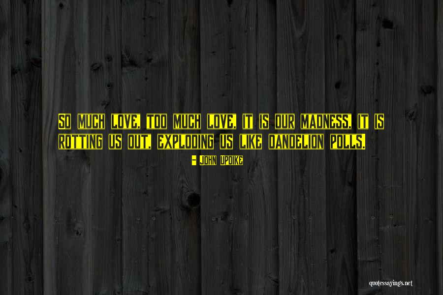 Mayabang Na Tao Quotes By John Updike Mayabang Na Tao Quotes By John Updike