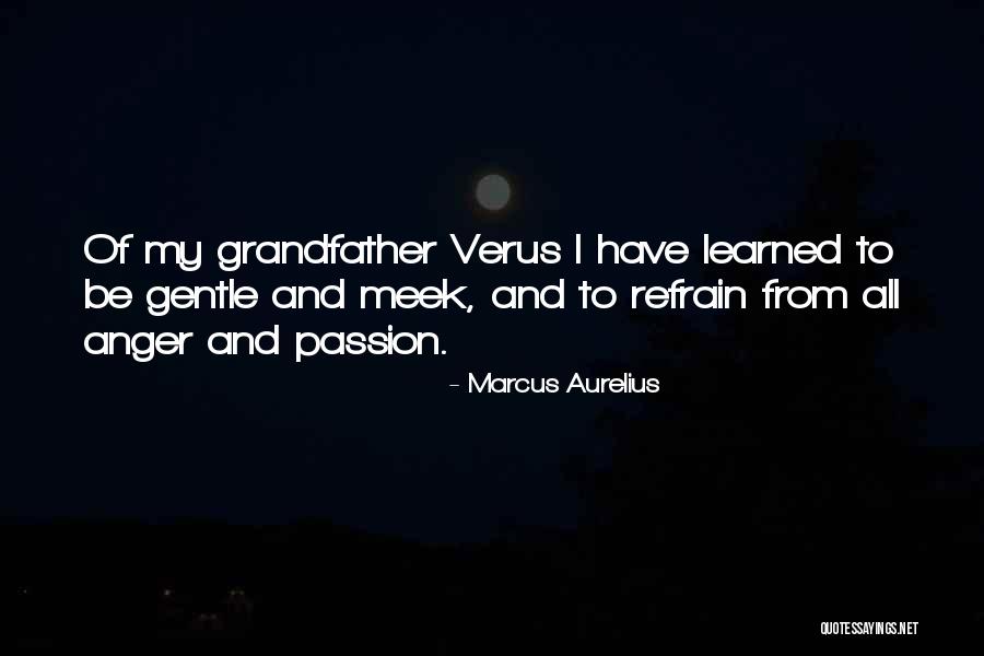 Mayaguez Quotes By Marcus Aurelius Mayaguez Quotes By Marcus Aurelius