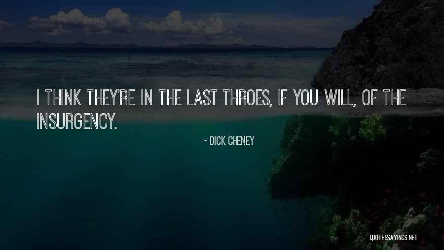 Mayamalavagowla Quotes By Dick Cheney