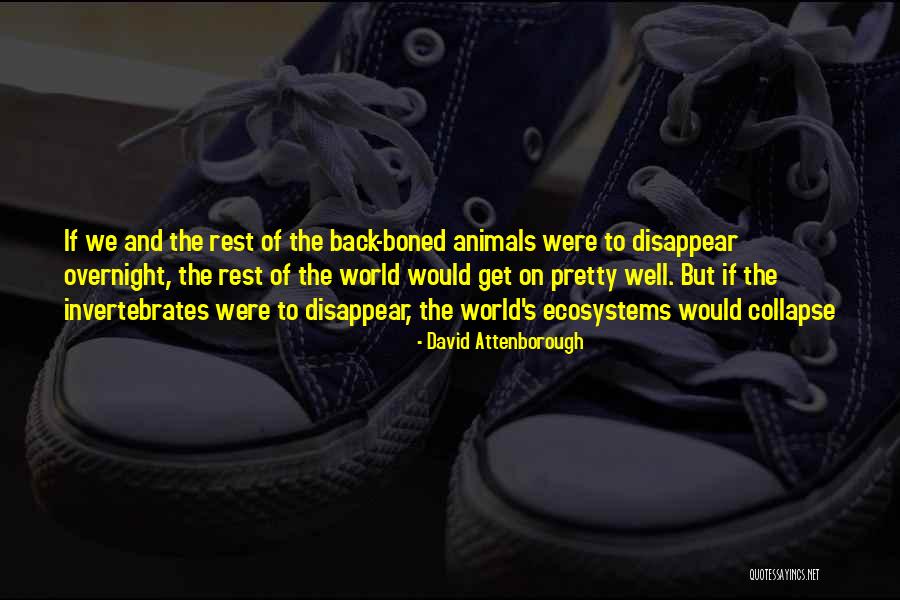 Mayamatam Quotes By David Attenborough Mayamatam Quotes By David Attenborough