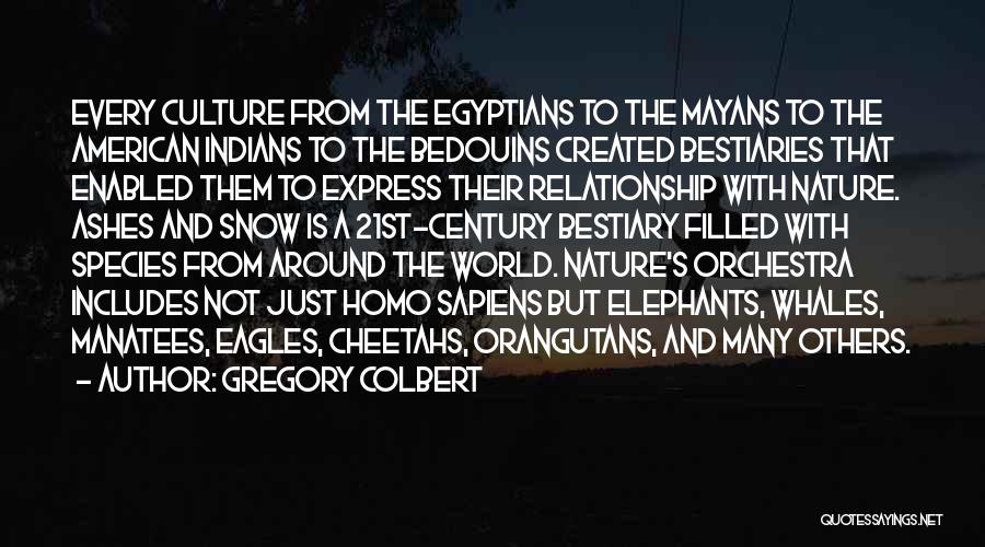 Mayans Quotes By Gregory Colbert