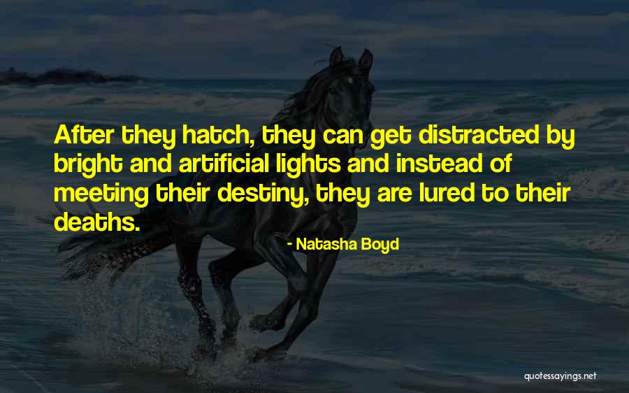 Mayapada Bank Quotes By Natasha Boyd Mayapada Bank Quotes By Natasha Boyd