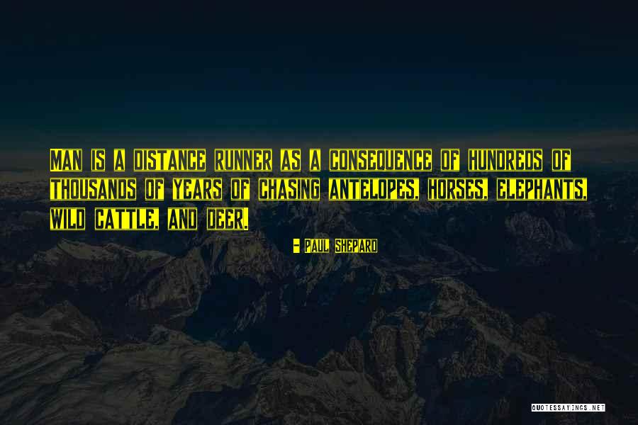 Mayara Russi Quotes By Paul Shepard Mayara Russi Quotes By Paul Shepard