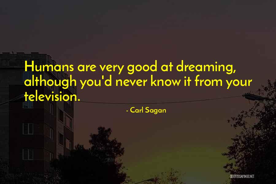 Maybe I M Dreaming Quotes By Carl Sagan