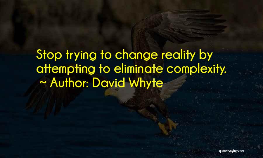 Maybe I Should Stop Trying Quotes By David Whyte