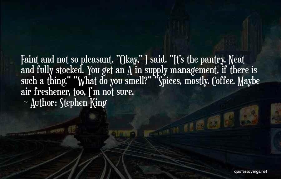 Maybe I'm Not Okay Quotes By Stephen King