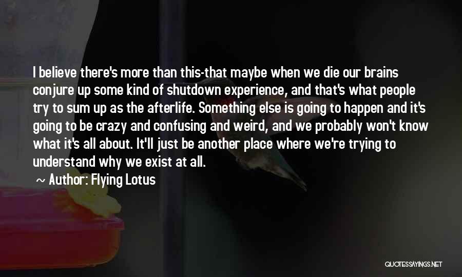 Maybe It'll Happen Quotes By Flying Lotus