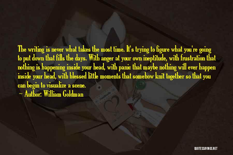 Maybe It'll Happen Quotes By William Goldman