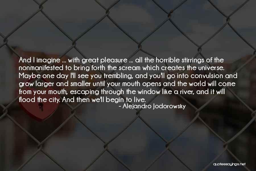 Maybe One Day You'll See Quotes By Alejandro Jodorowsky