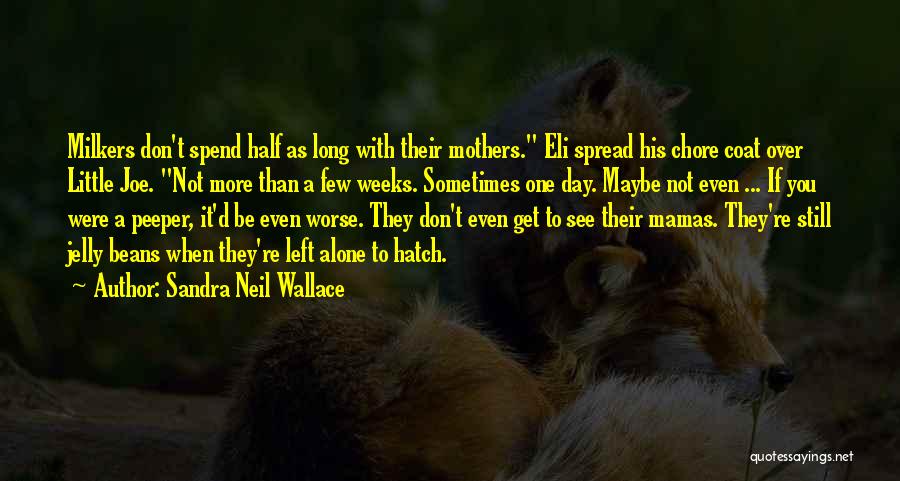 Maybe One Day You'll See Quotes By Sandra Neil Wallace