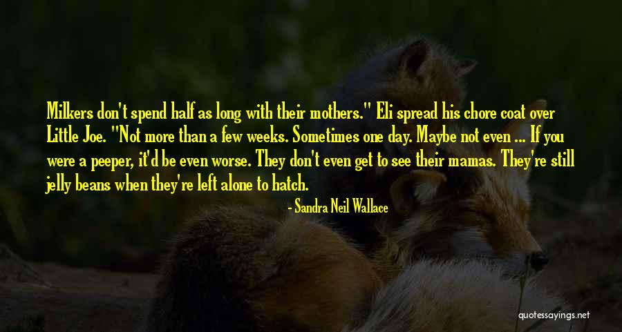 Maybe One Day You'll See Quotes By Sandra Neil Wallace