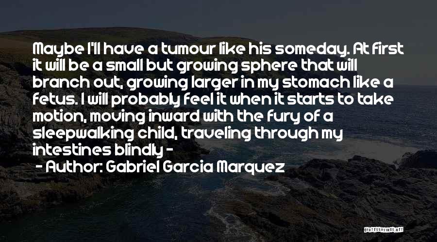 Maybe Someday Quotes By Gabriel Garcia Marquez
