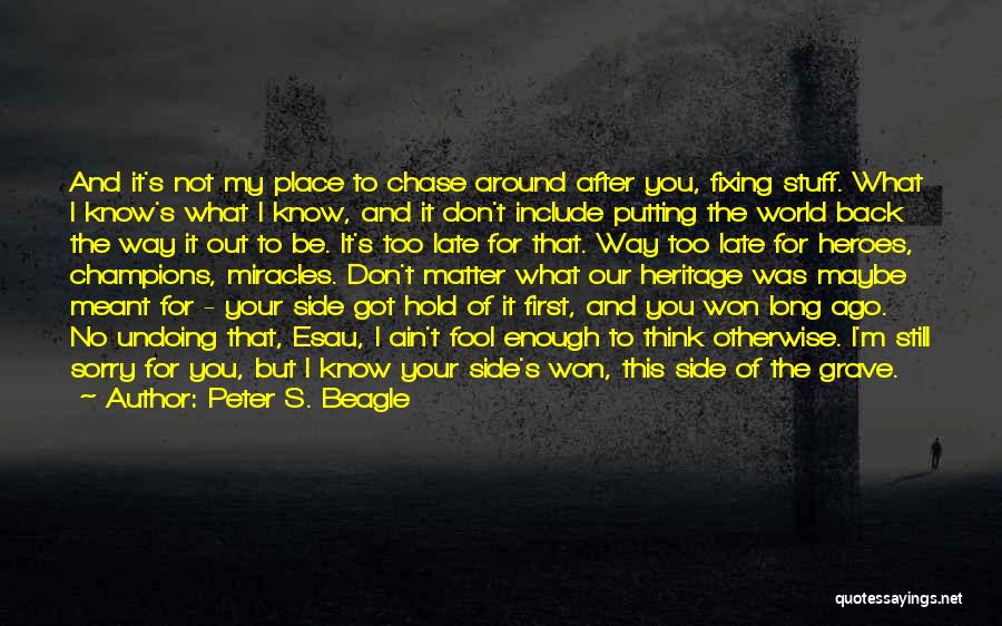 Maybe Too Late Quotes By Peter S. Beagle