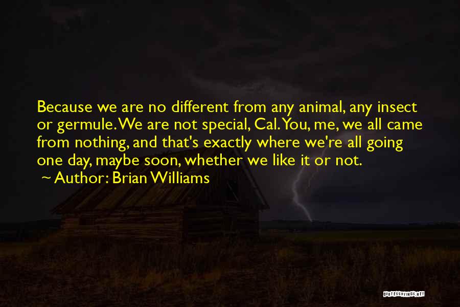 Maybe We Are Different Quotes By Brian Williams