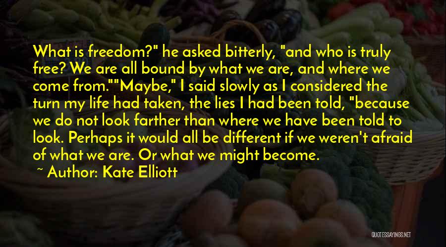 Maybe We Are Different Quotes By Kate Elliott