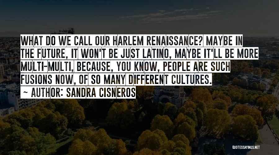 Maybe We Are Different Quotes By Sandra Cisneros