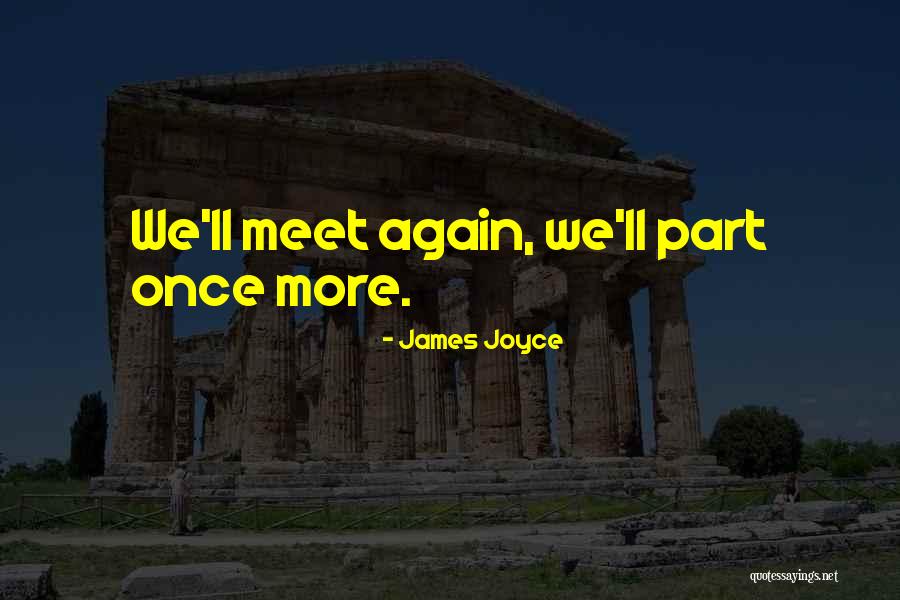 Maybe We'll Meet Again Quotes By James Joyce