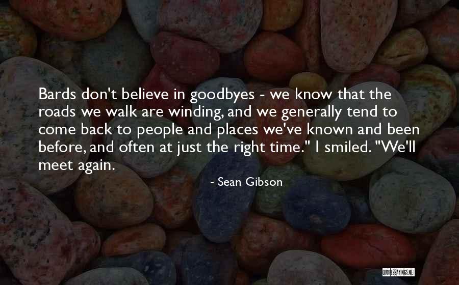 Maybe We'll Meet Again Quotes By Sean Gibson