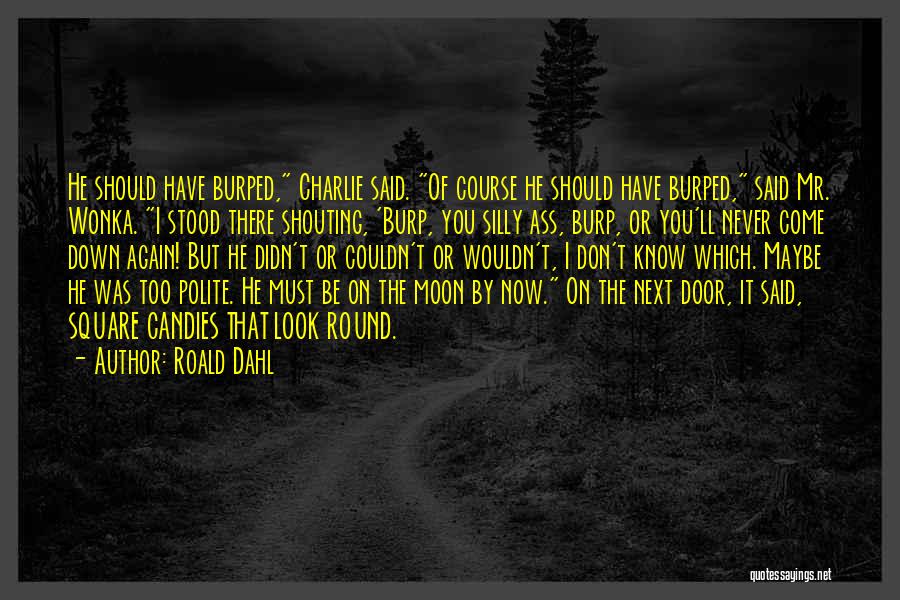 Maybe You Should Quotes By Roald Dahl