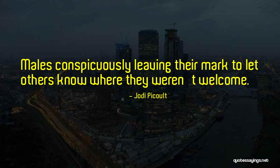 Mayberg Foundation Quotes By Jodi Picoult Mayberg Foundation Quotes By Jodi Picoult