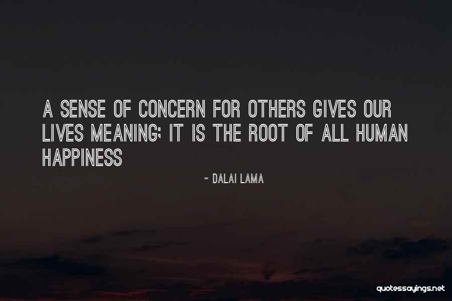 Maydell Rochester Quotes By Dalai Lama Maydell Rochester Quotes By Dalai Lama