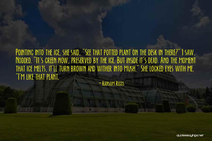 Mayeda Flowers Quotes By Ransom Riggs Mayeda Flowers Quotes By Ransom Riggs