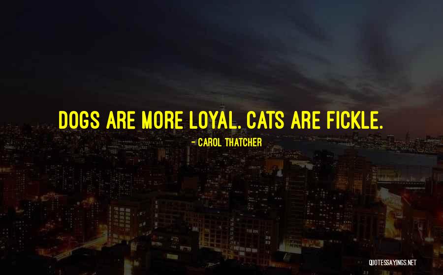 Mayeux And Broussard Quotes By Carol Thatcher Mayeux And Broussard Quotes By Carol Thatcher