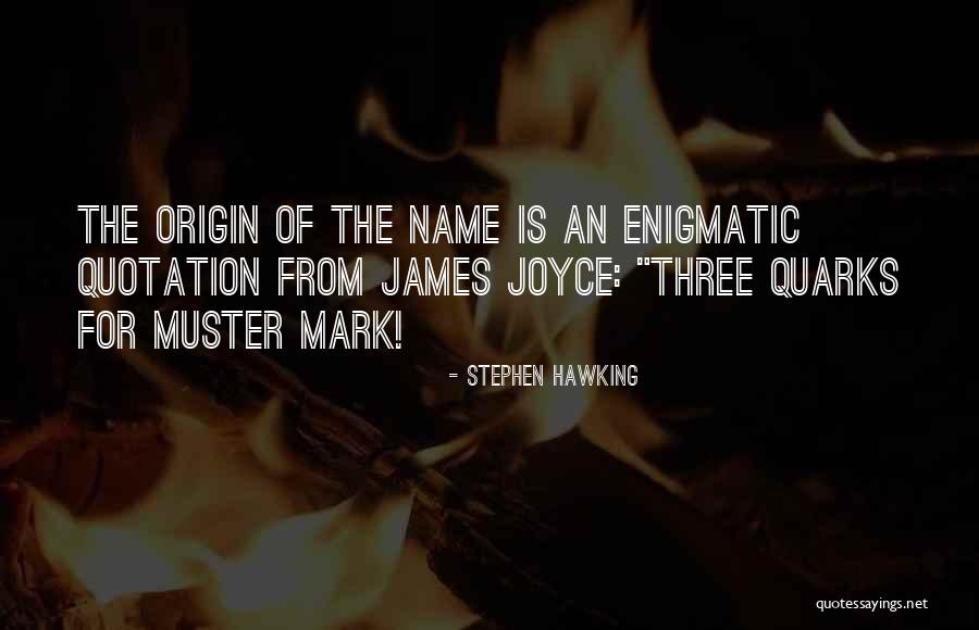 Mayfly Love Quotes By Stephen Hawking Mayfly Love Quotes By Stephen Hawking