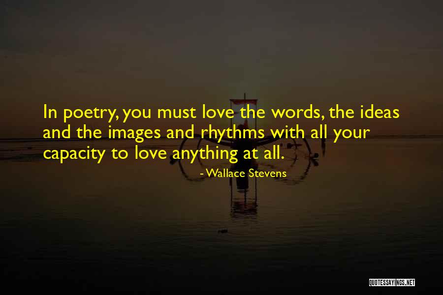 Mayfly Nymph Quotes By Wallace Stevens Mayfly Nymph Quotes By Wallace Stevens
