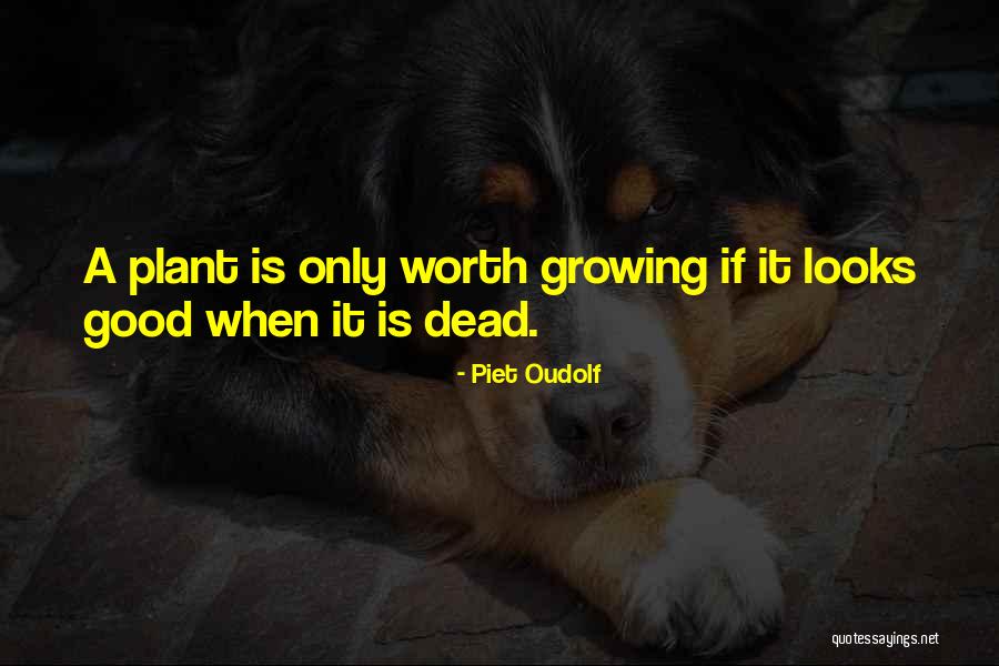 Mayford Grange Quotes By Piet Oudolf Mayford Grange Quotes By Piet Oudolf