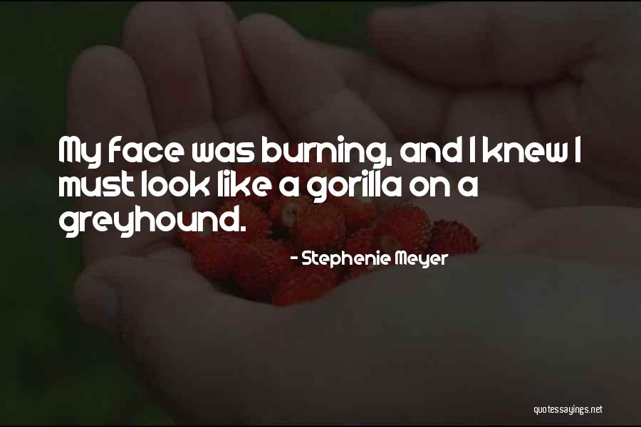 Maygan Abude Quotes By Stephenie Meyer Maygan Abude Quotes By Stephenie Meyer