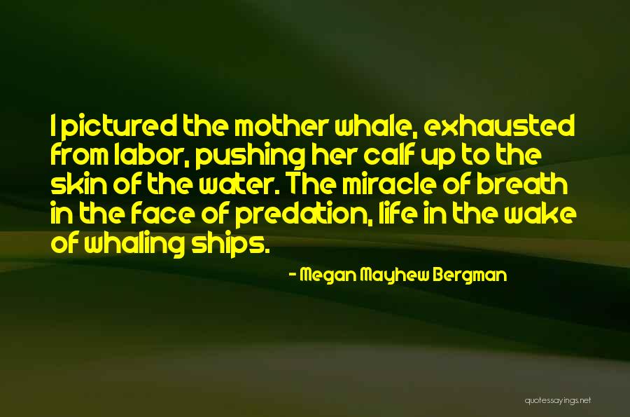 Mayhew Quotes By Megan Mayhew Bergman Mayhew Quotes By Megan Mayhew Bergman