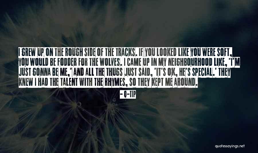 Mayles In England Quotes By Q-Tip Mayles In England Quotes By Q-Tip