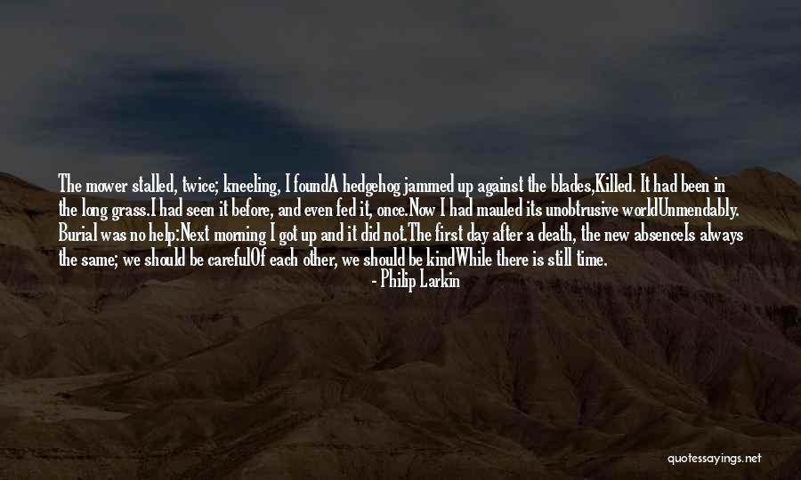 Maylynns Ice Quotes By Philip Larkin Maylynns Ice Quotes By Philip Larkin