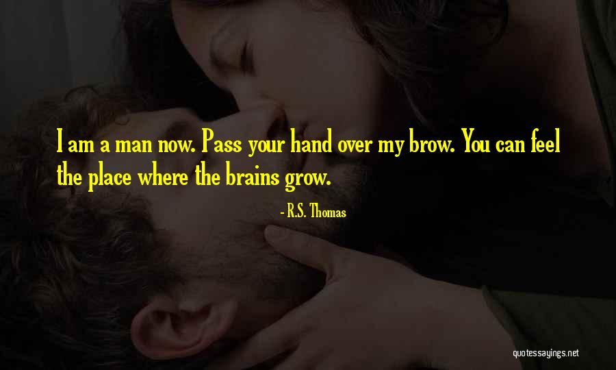 Maymunlar Quotes By R.S. Thomas Maymunlar Quotes By R.S. Thomas