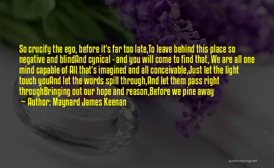 Maynard James Keenan Quotes 1776579