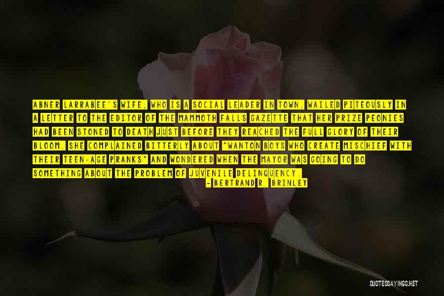 Mayor S Wife Quotes By Bertrand R. Brinley Mayor S Wife Quotes By Bertrand R. Brinley