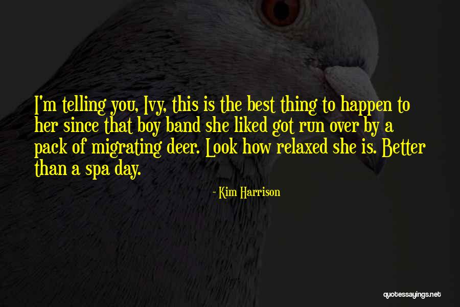 Mayris Tiny Quotes By Kim Harrison Mayris Tiny Quotes By Kim Harrison