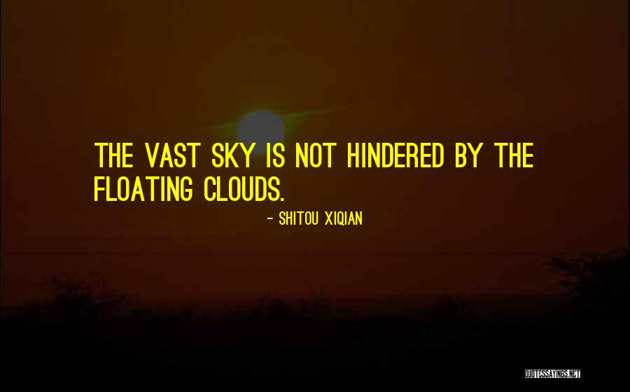 Maysen Fletcher Quotes By Shitou Xiqian