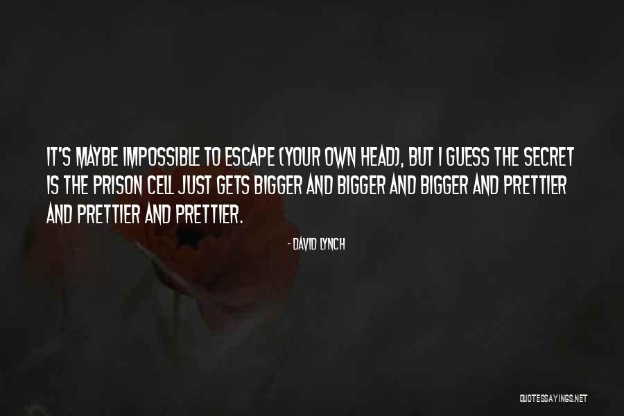 Mazahir Salih Quotes By David Lynch Mazahir Salih Quotes By David Lynch