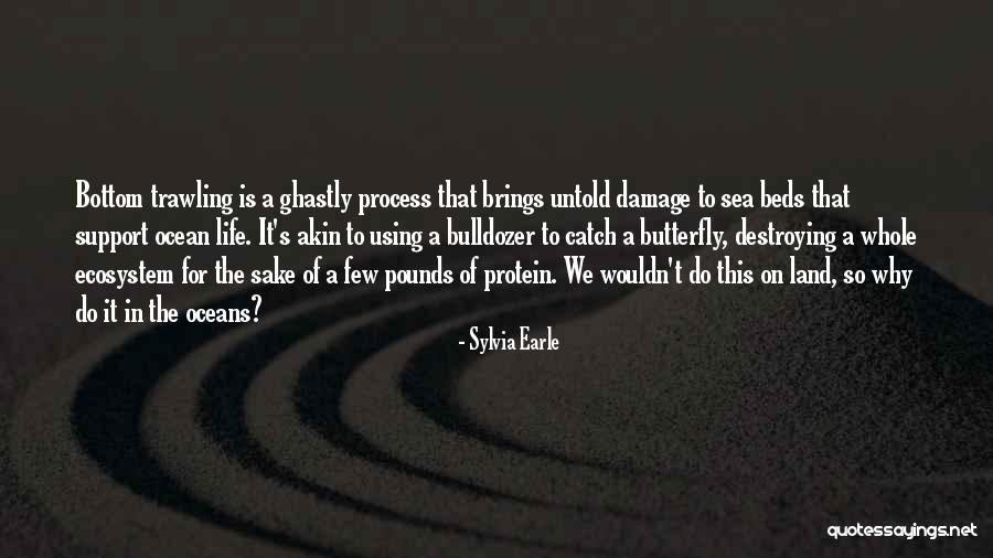 Mazak Machines Quotes By Sylvia Earle Mazak Machines Quotes By Sylvia Earle