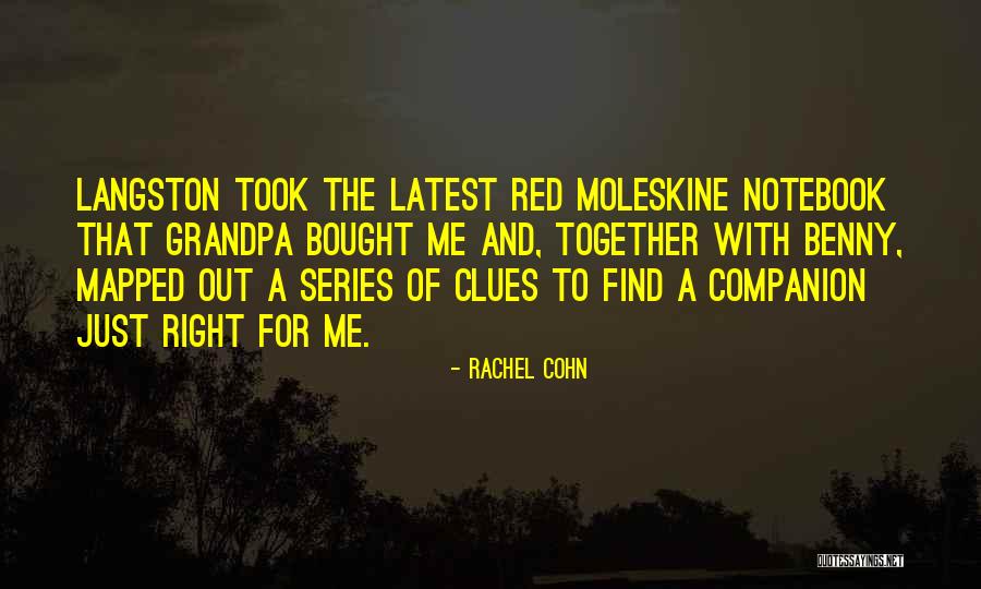 Maze Credit Quotes By Rachel Cohn Maze Credit Quotes By Rachel Cohn