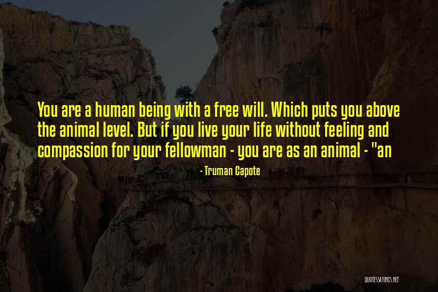 Mazgit Quotes By Truman Capote Mazgit Quotes By Truman Capote