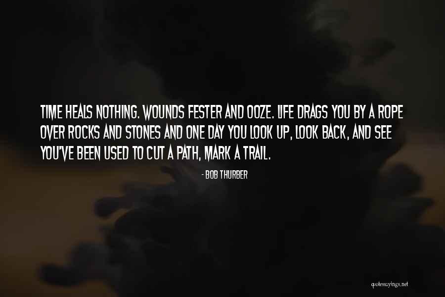 Maziero Dinf Quotes By Bob Thurber Maziero Dinf Quotes By Bob Thurber