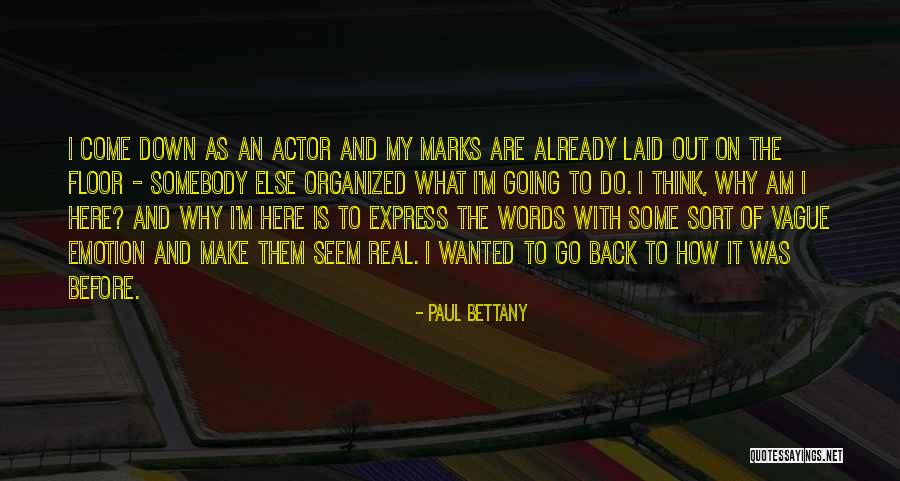 Mazingira Asili Quotes By Paul Bettany Mazingira Asili Quotes By Paul Bettany