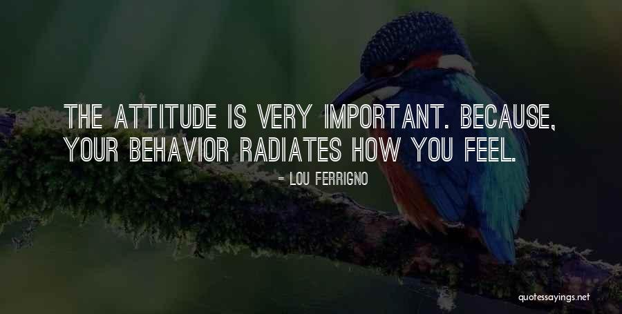 Mazmorra Tumbas Quotes By Lou Ferrigno Mazmorra Tumbas Quotes By Lou Ferrigno